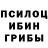 Галлюциногенные грибы Psilocybe Foma Newepuchiy