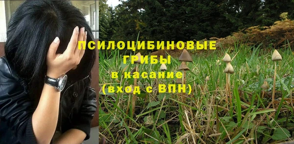 ешки Алексеевка