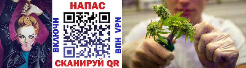 где продают наркотики  Бердск  Канабис марихуана 